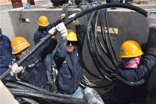 新時(shí)代 新作為 新風(fēng)采 2019年力天機(jī)械榮耀庫供八件大事揭曉