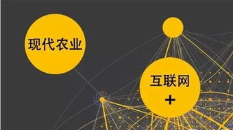 農(nóng)業(yè)互聯(lián)網(wǎng)掘金時(shí)代，數(shù)據(jù)服務(wù)商扮演“賣(mài)水人”角色