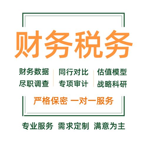 財務(wù)報表分析可行性研究報告審計稅務(wù)咨詢代寫商業(yè)計劃書年度述職
